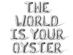 the world is your oyster balloon letters are shown in silver foil, and it says'the world is your oyster '