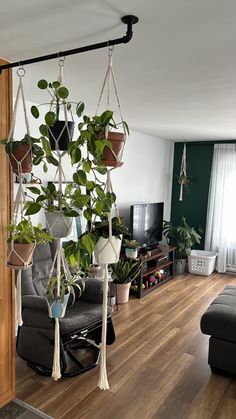 a living room filled with furniture and hanging plants