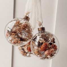 two glass ornaments hanging from a string with pine cones and other things in them on a window sill