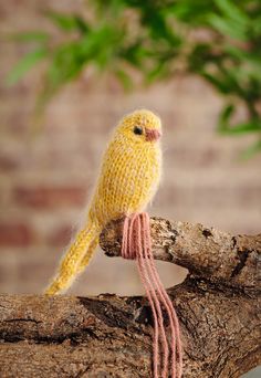 a small yellow bird sitting on top of a tree branch