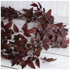 Length: 72" Thickness (Varies Upon Shaping): 12.5" Material: Plastic & Fabric Color: Brown & Burgundy Includes: 2 Loops Care & Safety: Indoor Use Only Quantity: 1 Give any room a woodsy vibe by displaying this Burgundy Leaf Garland. This piece features a long, segmented vine that supports serrated leaves. The leaves are a rich burgundy color to complement your home's moody aesthetic. Display it above the mantel or window alongside other leafy decorations for a coordinated display that lasts all Fall Garland Around Kitchen Window, Red Eucalyptus Decor, Thanksgiving Decorations Mantle, Maroon Fall Decor, Maroon Christmas Decorations, Anthropologie Fall Decor, Burgundy Fall Decor, Autumn Mantel Decor, Moody Fall Decor