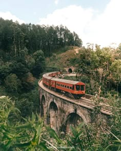 a red train traveling over a bridge in the middle of a lush green forest covered hillside