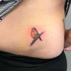 a small bird sitting on top of a woman's stomach with an orange breast