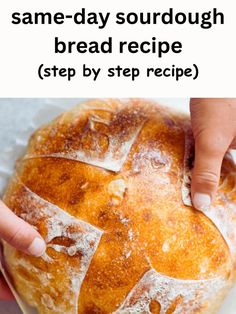 sourdough bread on a table Whole Grain Sourdough, Mill Flour, Easy Sourdough Bread, Beginners Bread Recipe, Make Sourdough Bread, Easy Sourdough Bread Recipe, Whole Wheat Sourdough, Sourdough Bread Recipes, Sourdough Recipe