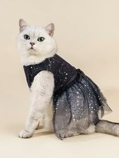 a white cat wearing a black dress with stars on it