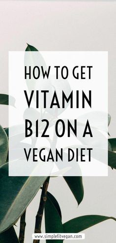 Do you know if you're getting enough vitamin B12 while on a vegan diet lifestyle? Find out how to get vitamin B12 through vegan foods and supplements. Abdominal Pain Relief, Homemade Body Care, Diet Lifestyle, Health Snacks, Health Knowledge, Mood Humor