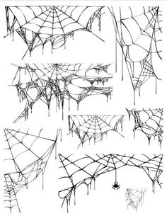 some kind of spider webs that are drawn in black and white