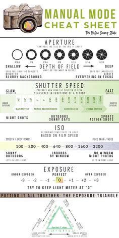 an info sheet showing the different types of vehicles