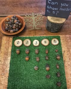 a wooden table topped with lots of different types of trees and numbers on top of green grass