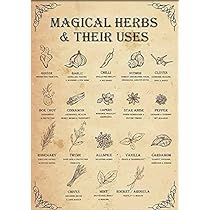 Witchy Kitchen, Materi Bahasa Jepang, Magickal Herbs, Witch Herbs, Wiccan Magic, Witch Spirituality, Magic Spell Book