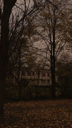 an old house in the woods with leaves on the ground