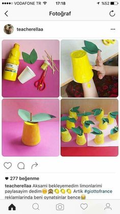 an instagram page with pictures of yellow vases and green leaves