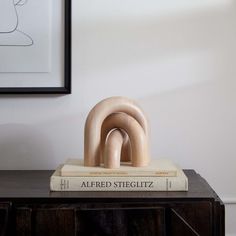 a wooden sculpture sitting on top of a table next to a framed drawing and a book