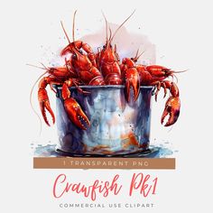 a painting of crawfish in a bucket with the words transparent png on it