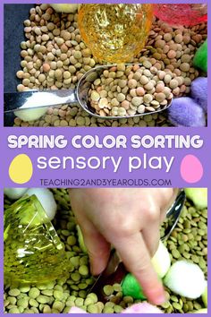 this is an image of spring color sorting activity for toddlers and preschoolers to play with