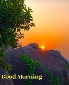 the sun is setting over some rocks with plants growing on them and words good morning