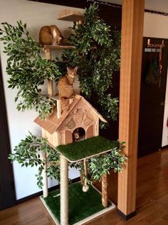 a cat tree with two cats sitting on top of it and some trees in the background