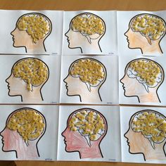 six drawings of the human head with different areas of their brain and part of its frontal area