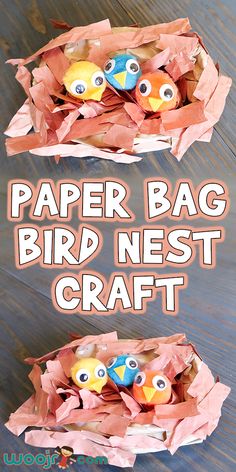 paper bag bird nest craft for kids to make with construction paper and googly eyes