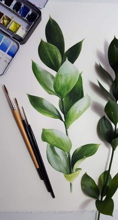 some green leaves and watercolors on a table