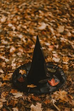 a black witches hat sitting on top of a pile of leaves in the grass with fallen leaves around it