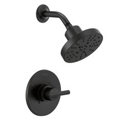 thermostaer with shower head and handset in matte black by delta