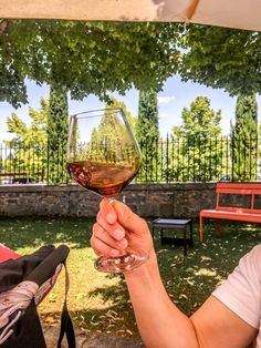 a woman holding up a glass of wine in front of an outdoor area with benches and trees