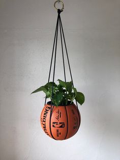 a basketball planter hanging from a wall