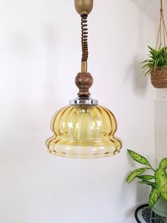 a light fixture hanging from the ceiling in a room with potted plants on the wall