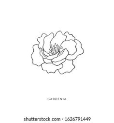 a single line drawing of a flower on a white background with the words gardenia