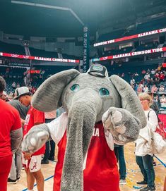 an elephant mascot standing on top of a basketball court