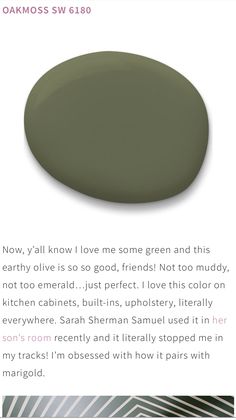 the back cover of a magazine with an image of a green oval