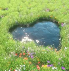 an open hole in the grass with flowers around it