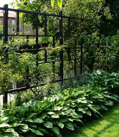 a garden with lots of green plants growing on the side of it and black iron fence