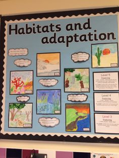 a bulletin board with pictures and captions on it that says habitats and adaptation