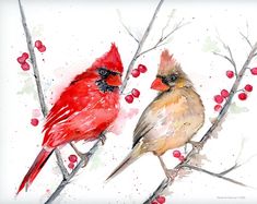 two red birds sitting on top of a tree branch next to each other with berries