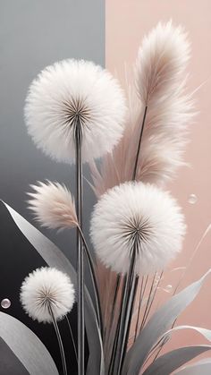 some white flowers are in a vase on a pink and black background with silver accents