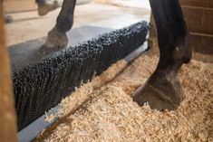 a horse standing on top of a pile of hay