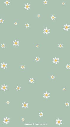 daisies on a mint green background with white and yellow centers are the focal point for this floral wallpaper