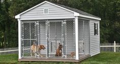 two dogs are in their kennels outside on the grass and trees behind them