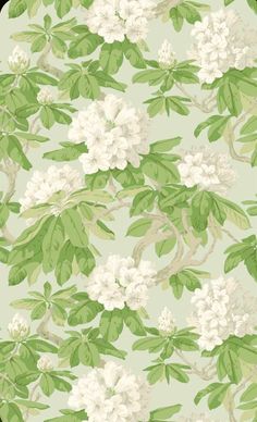 a green and white wallpaper with flowers on it