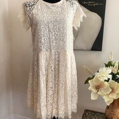 Gorgeous Free People Cream Colored Lace Dress Xs, With Drop Waist, Like Brand New! Casual Spring Lace Dress With Short Sleeves, Casual Lace Midi Dress With Short Sleeves, Casual Short Sleeve Lace Dress For Spring, Casual Short Sleeve Lace Dress, Casual A-line Lace Mini Dress, White Casual Lace Dress With Short Sleeves, Casual White Lace Dress With Short Sleeves, Light Blue Dresses, Cream Style