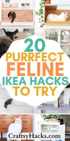 the words 20 perfect feline ikea hacks to try in front of pictures of cats