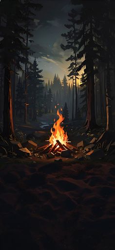 a campfire in the middle of a forest at night