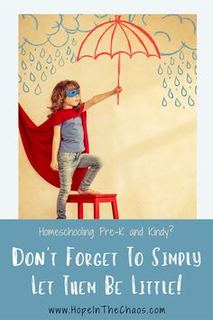 Everyone is in a rush to make little hands write and little bodies sit still, but I'm here to tell you, as a homeschooling mom of 4, that little people are made to wiggle, made to be curious, and made to explore with all their senses. While pre-k and kindergarten are great practice for homeschooling, don't forget to let your littles simple be little. #homeschool #homeschoolhelp #homeschoolmotivation #hopeinthechaos Homeschool Styles, Education Quotes Inspirational, Homeschool Teacher, History Curriculum, Homeschool Tips