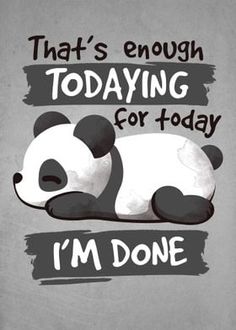 a panda bear that is laying down with the words, that's enough today for today