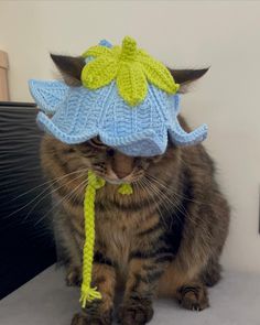 a cat wearing a knitted hat sitting on top of a table