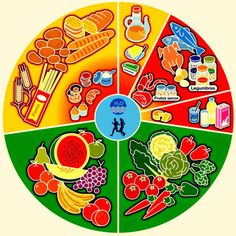 the four sections of food are arranged in a circle