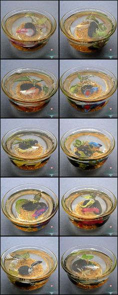 multiple images of different colored glass dishes