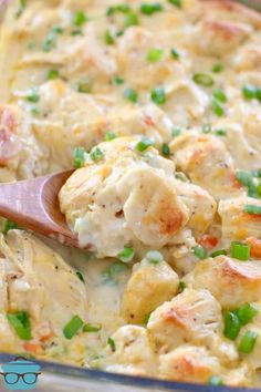 a wooden spoon in a casserole dish with chicken and green onions on it